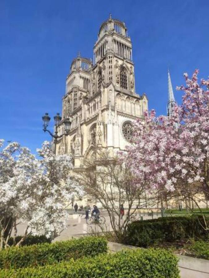 The Garden, Proche Bord De Loire Lägenhet Orléans Exteriör bild